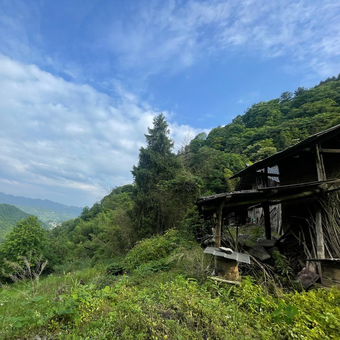 Tony老师的乡村生活