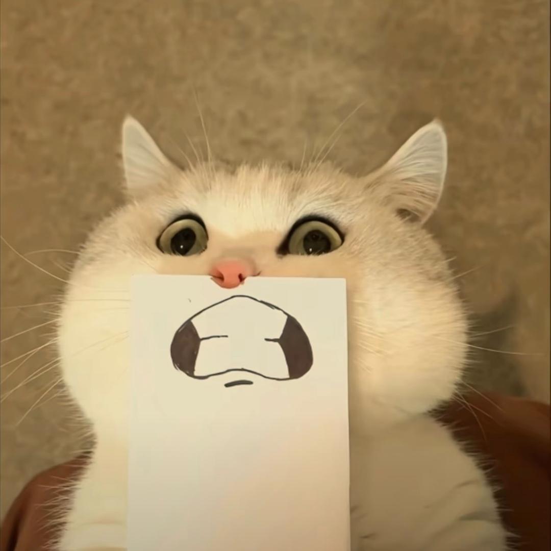 六月的羽