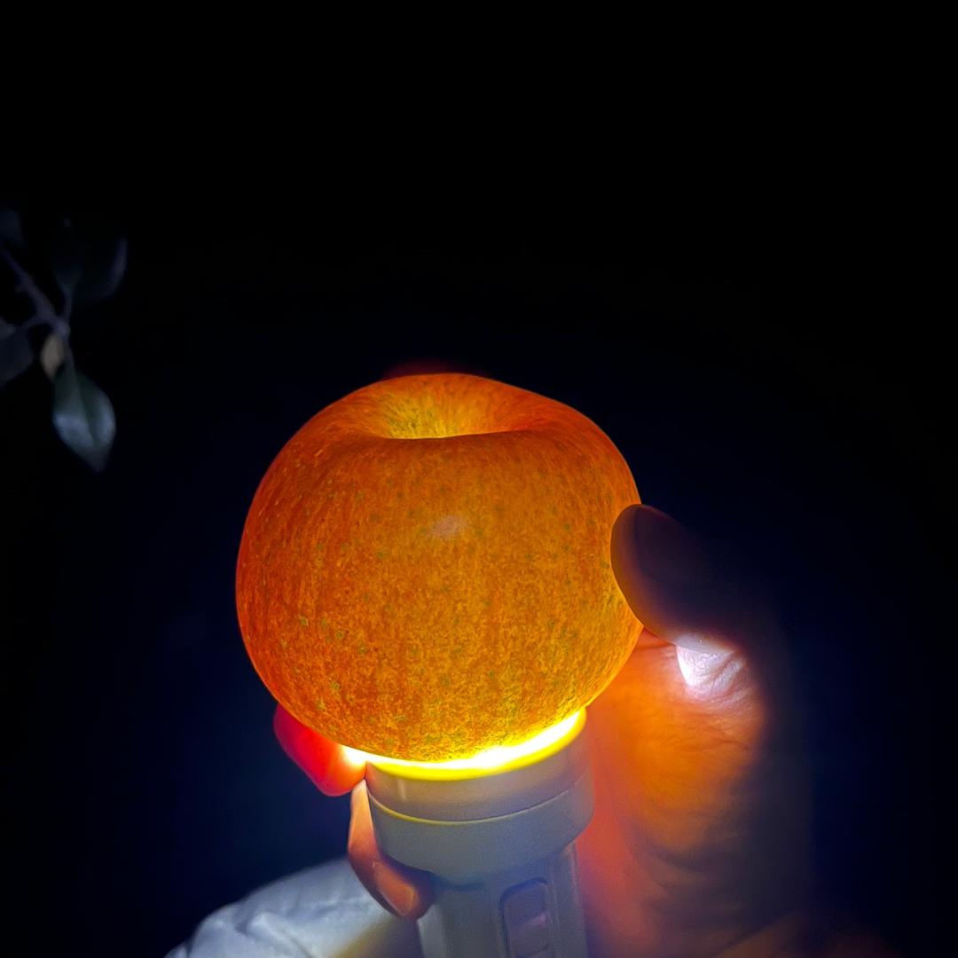 昭通冰糖心苹果坊