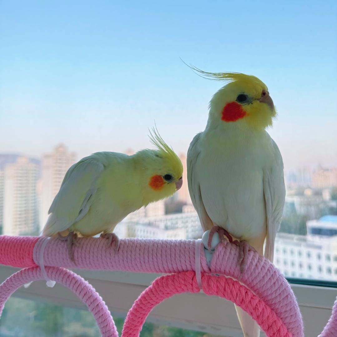 ζั͡ޓއއއ๓ ◌ꦿ 温ེۖ存ེᝰ