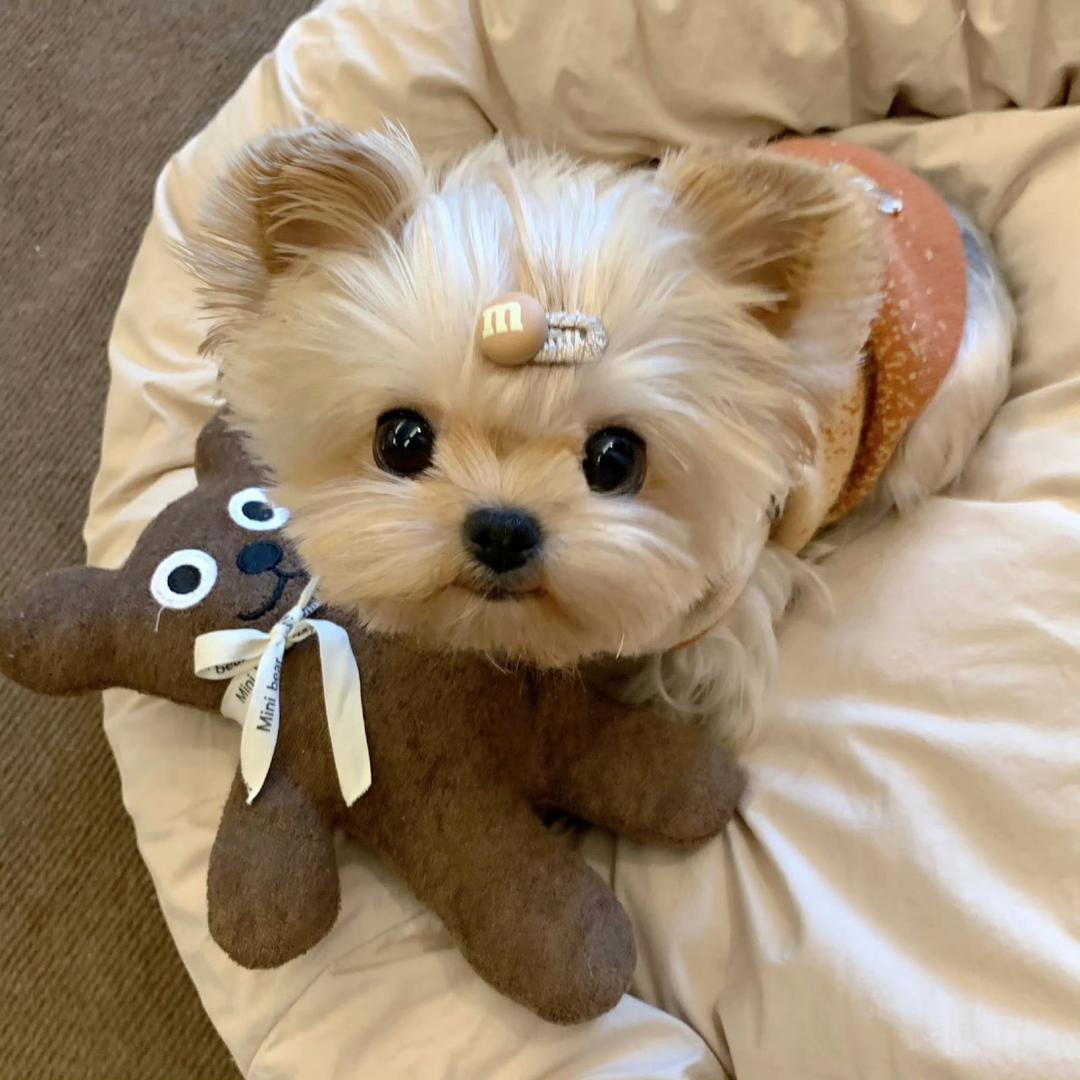 明天就中一个亿