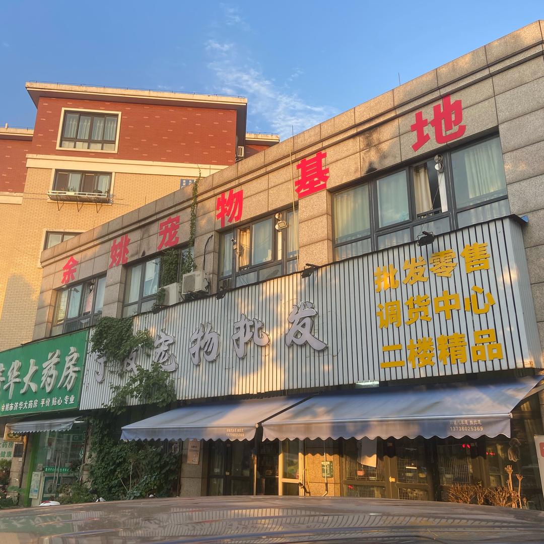余姚朗霞宠物直播2️⃣号