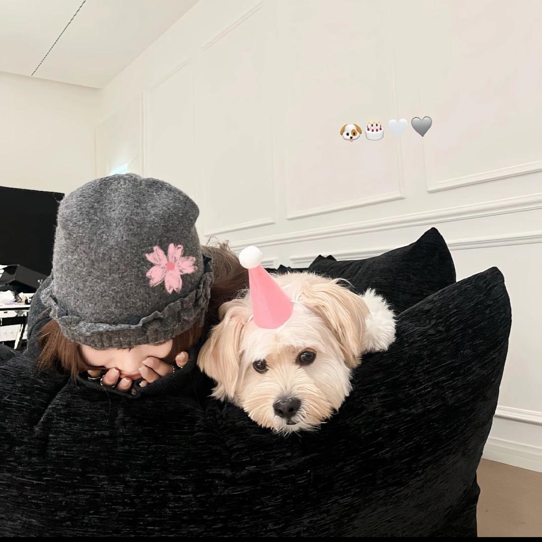 張張/🧚‍♀️