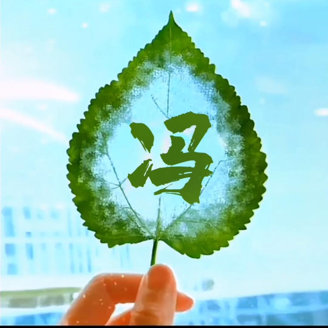 陕西 元宝枫红叶李国槐