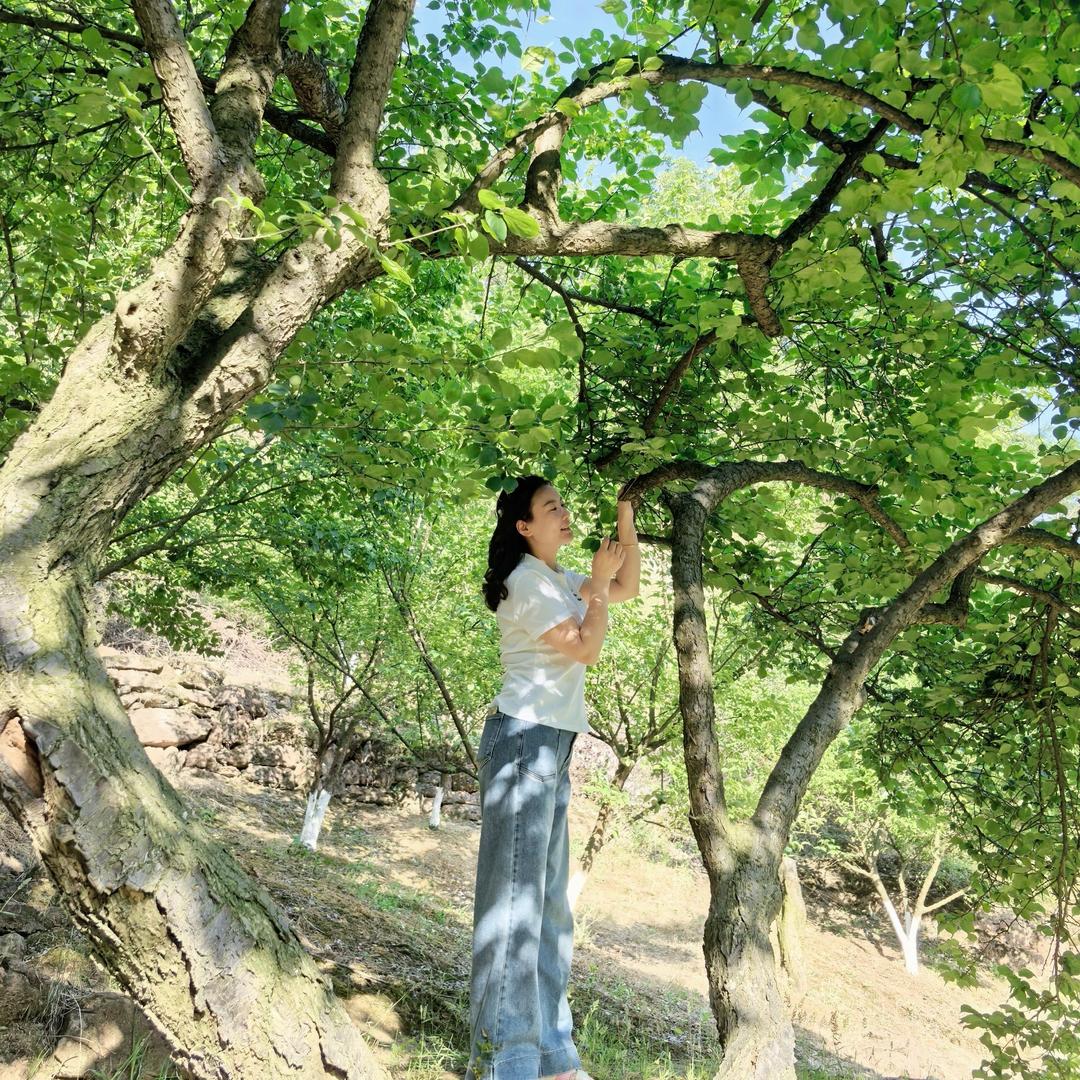 甜在路上