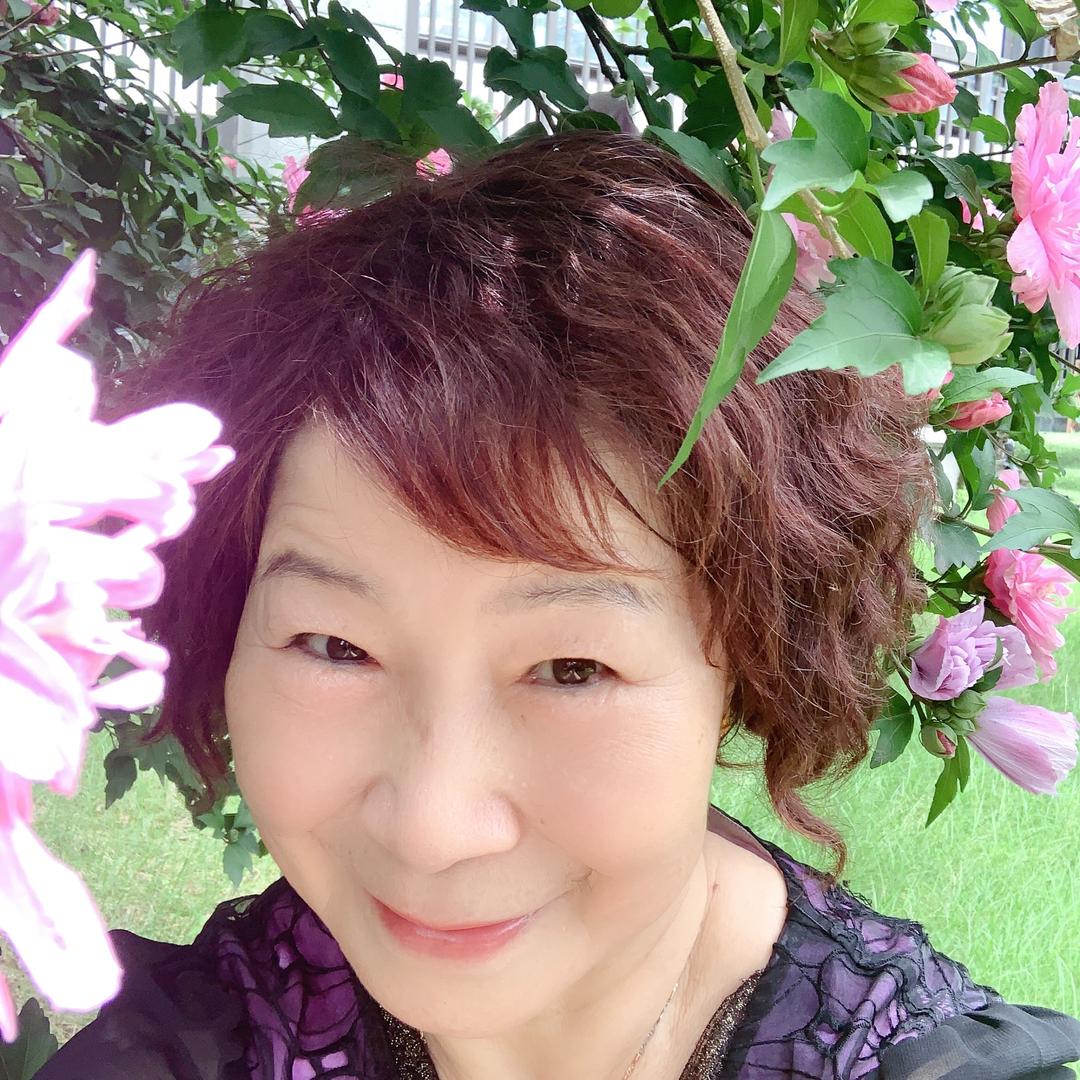 江南一蝶