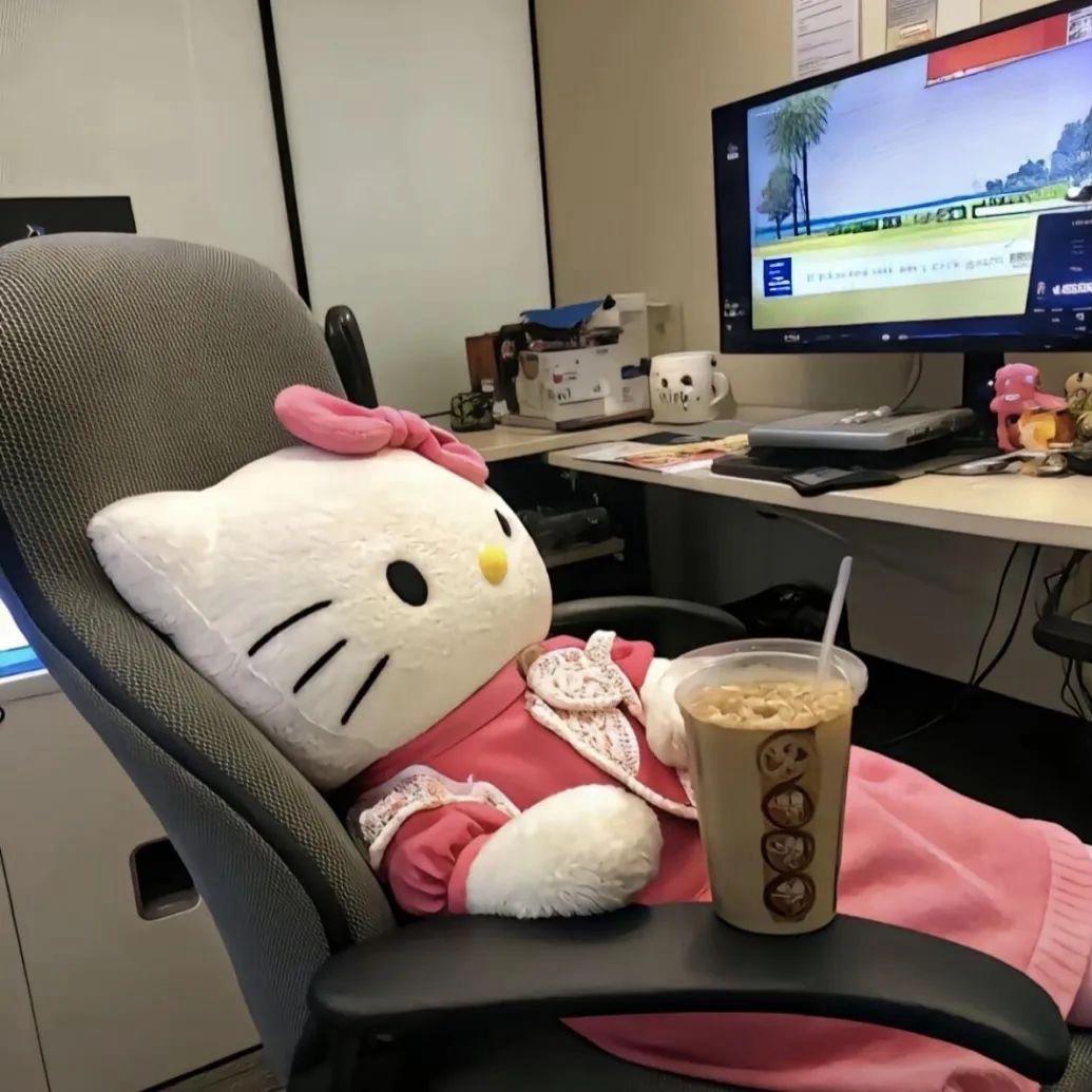 和猫说晚安