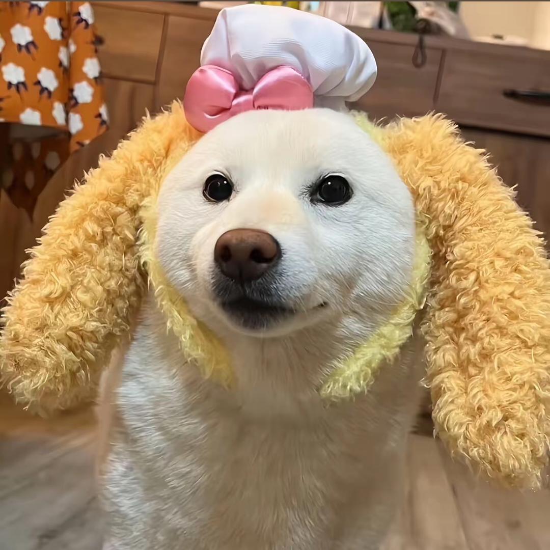 橙子