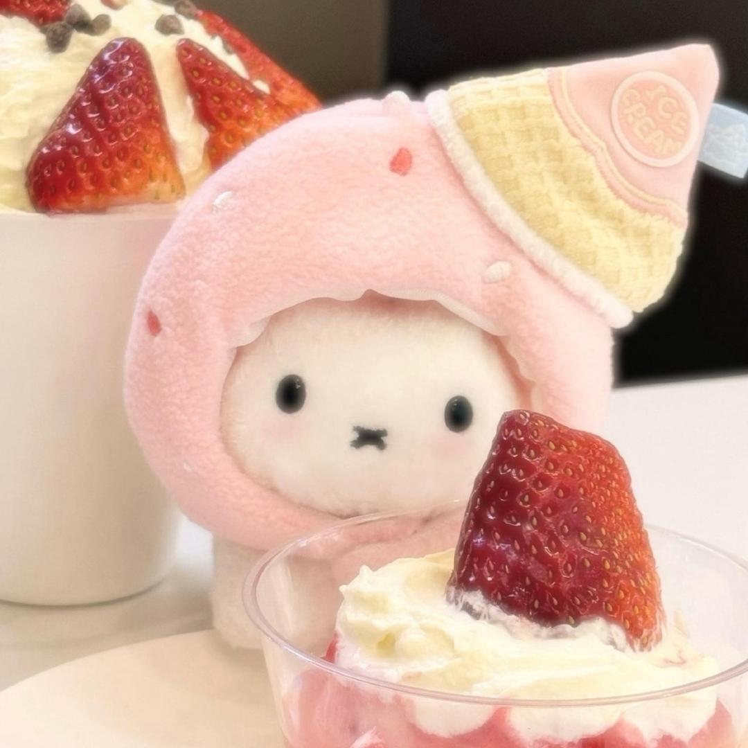 黄47_🥯
