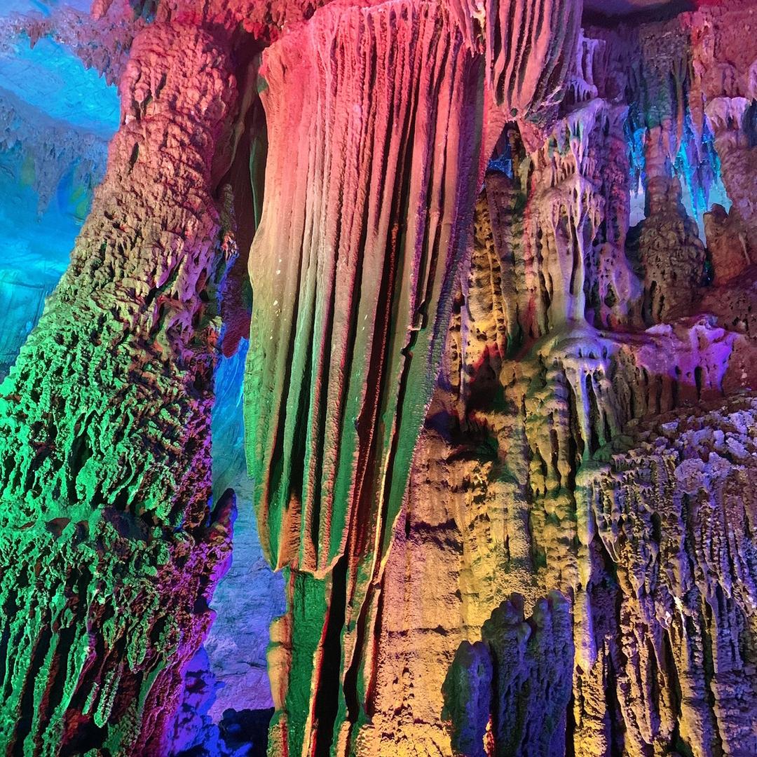 复古沉默猪✌️