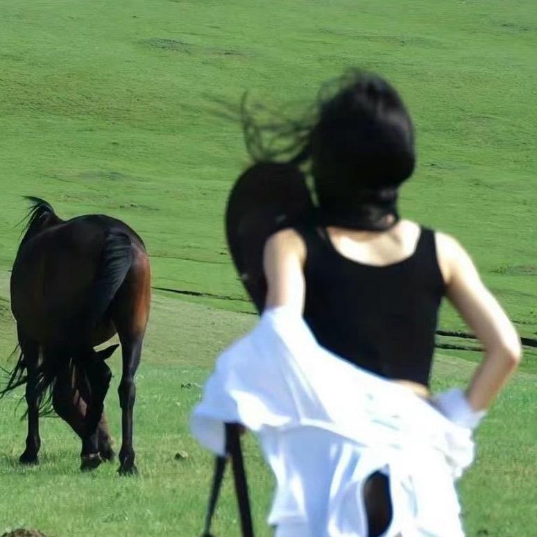 七安