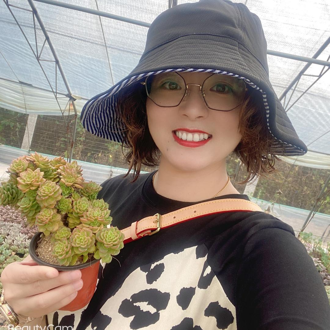 莱山小嫚儿