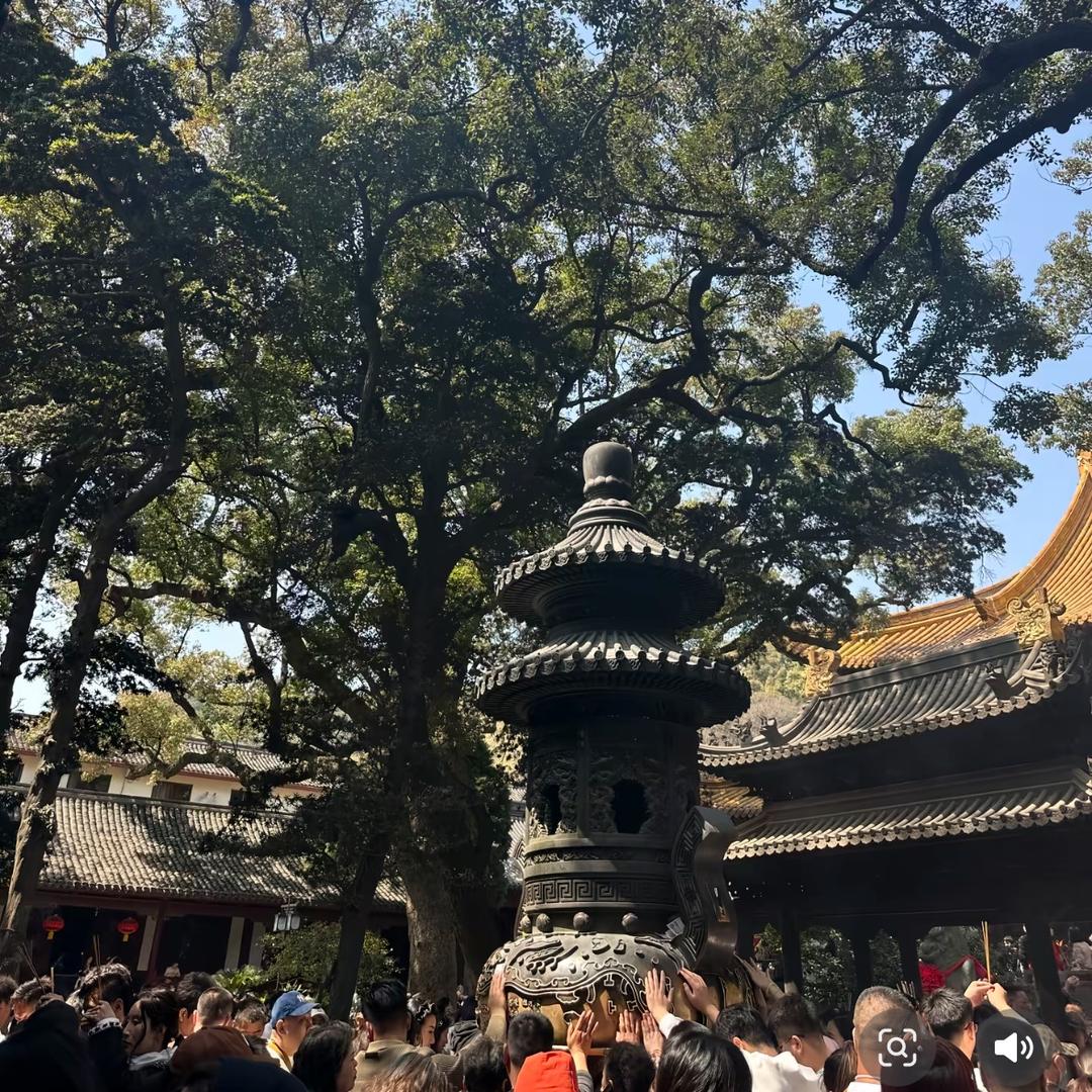 芋泥卷
