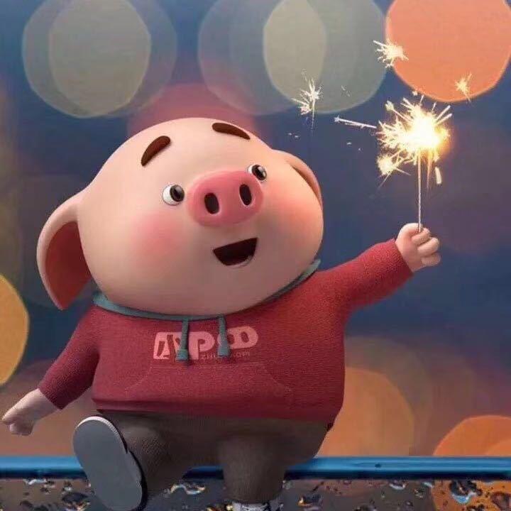 清柠（成都雷利出行清柠车队）