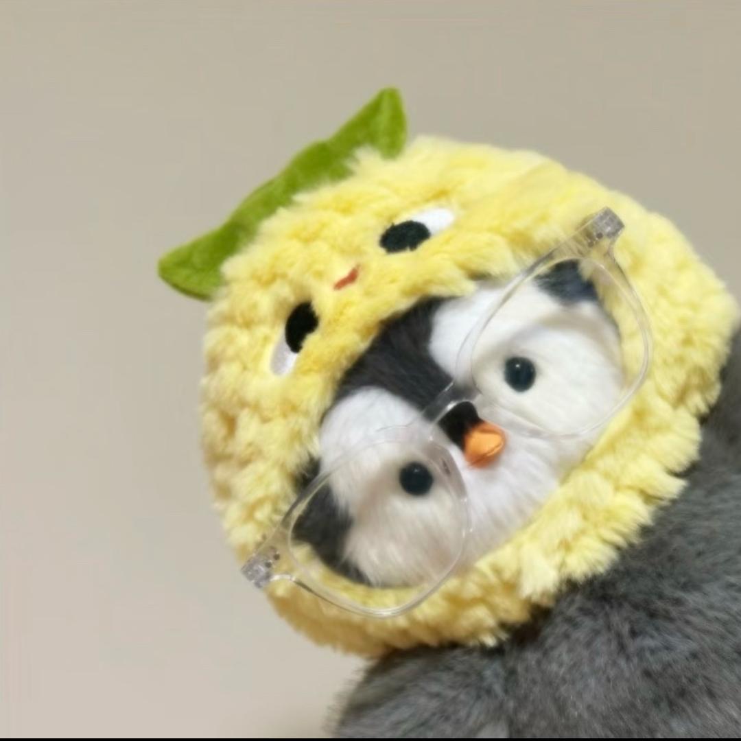 宁梣绛青