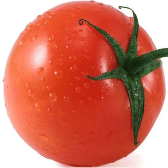 一枚摔倒的西红柿大王