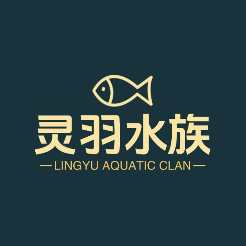 灵羽水族