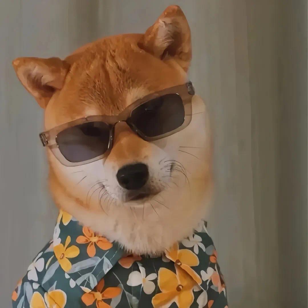 双喜爸爸