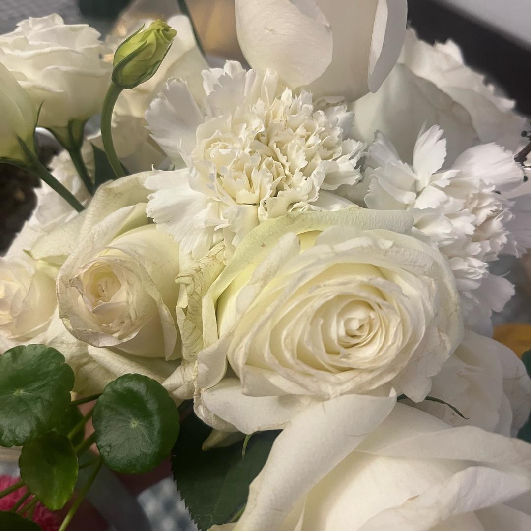 莲妹妹🧍‍♀️