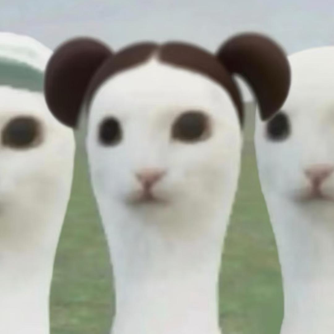 u.