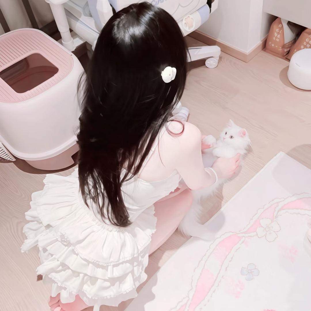 球球爱吃虾