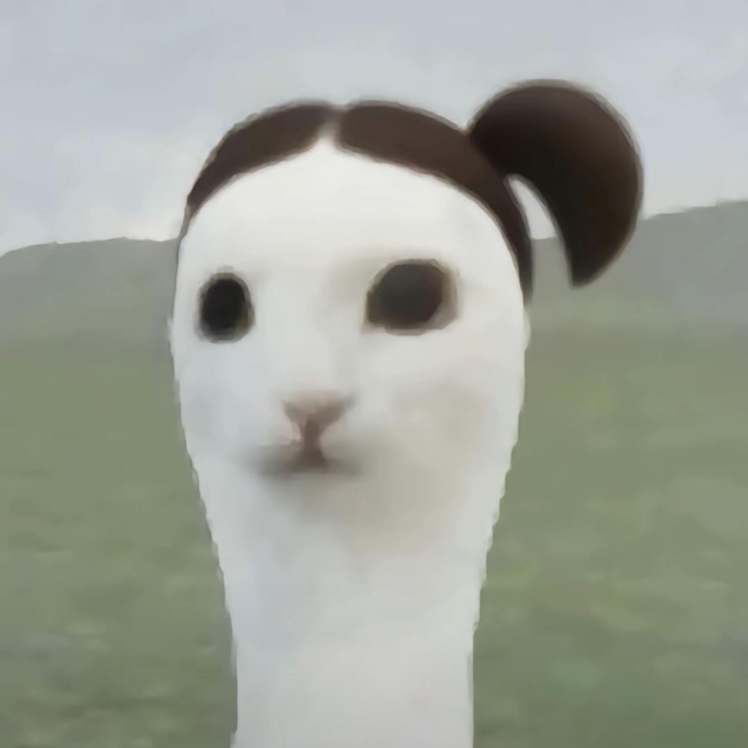 工作来 好工作快点来