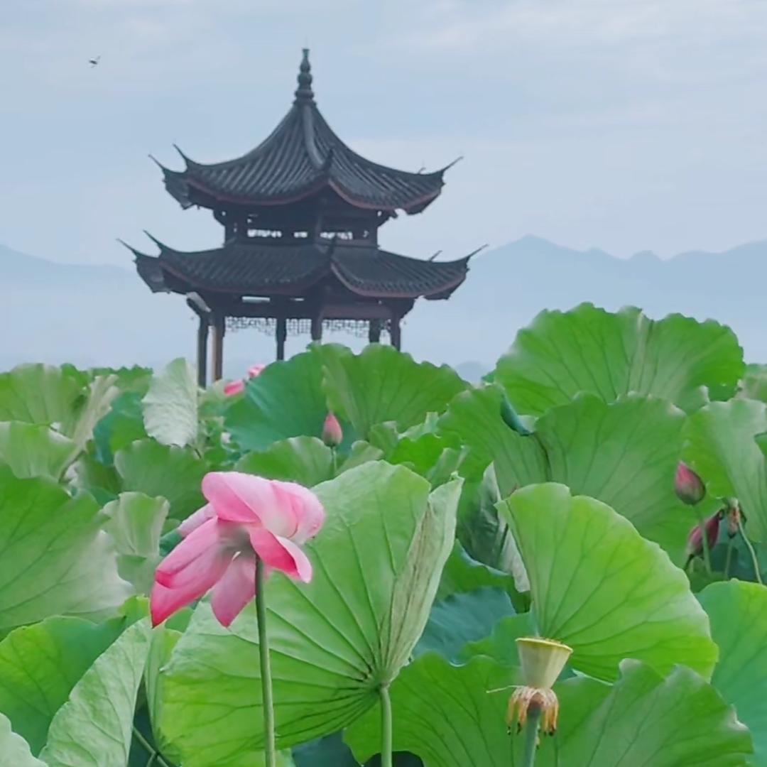 果粒程