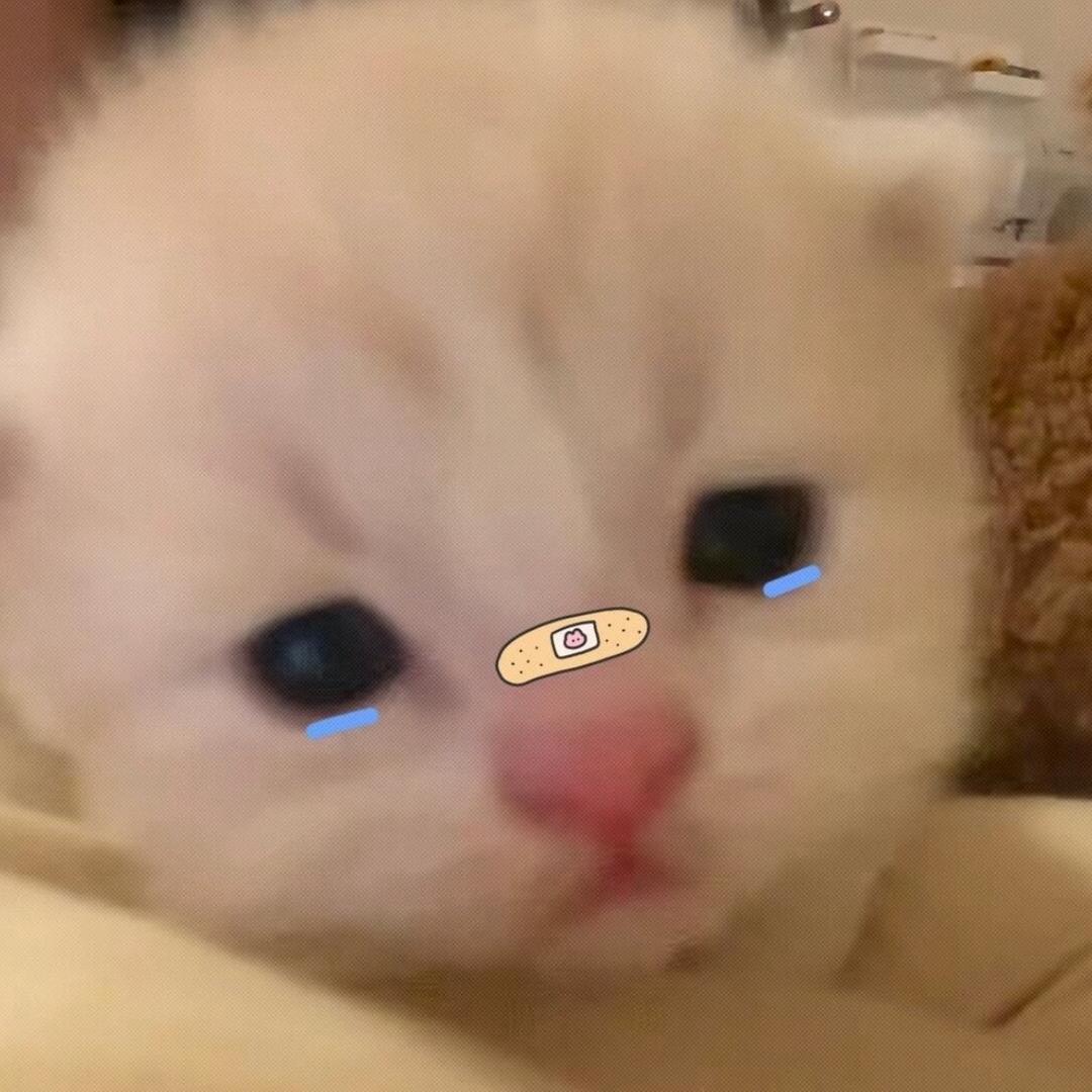 YAN