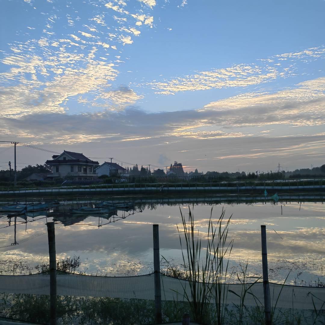 先锋洪泽湖生态水产