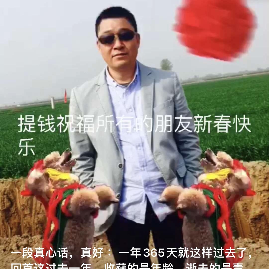 战胜文化传媒