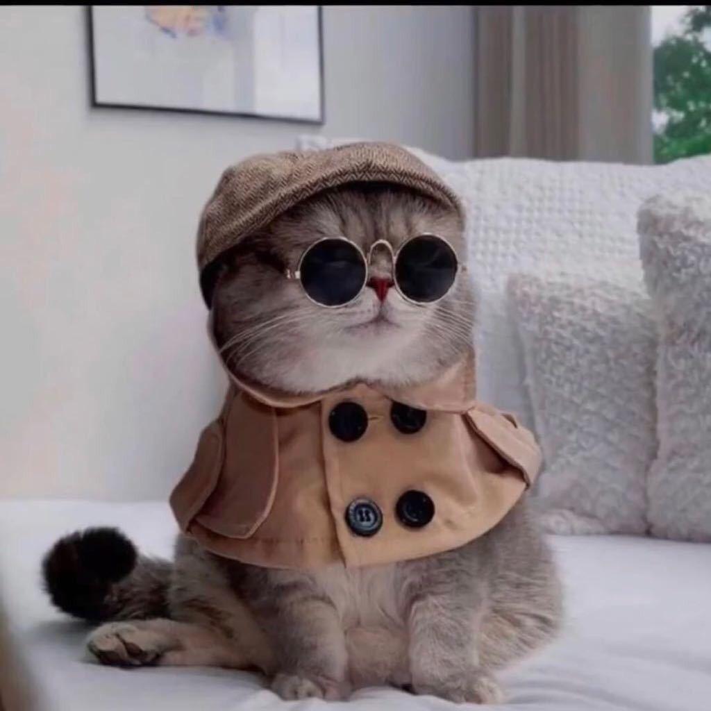 🌈许我几声晚安