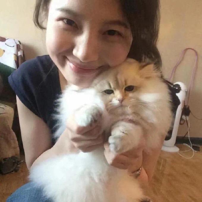 啊啊啊诺