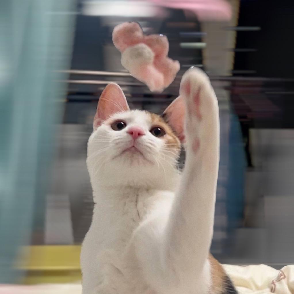 蓝不住