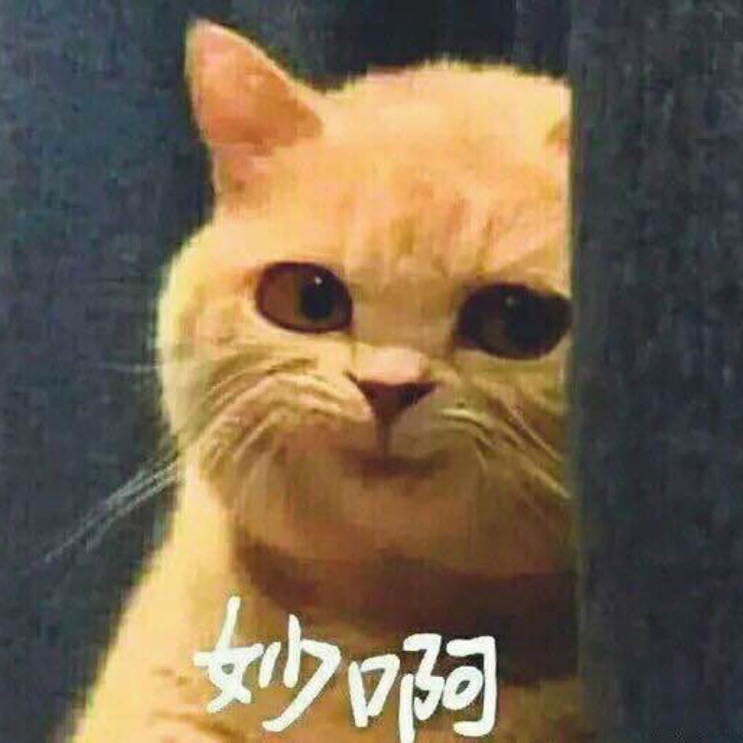 鱼