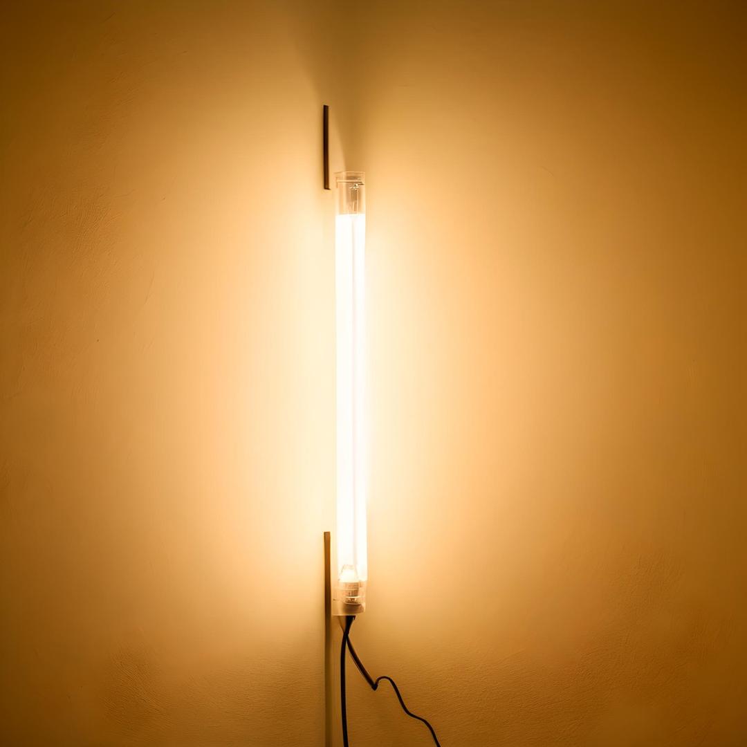 努力的人都在发光