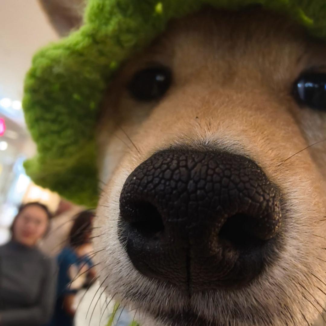 派大星🎀🩰🎈