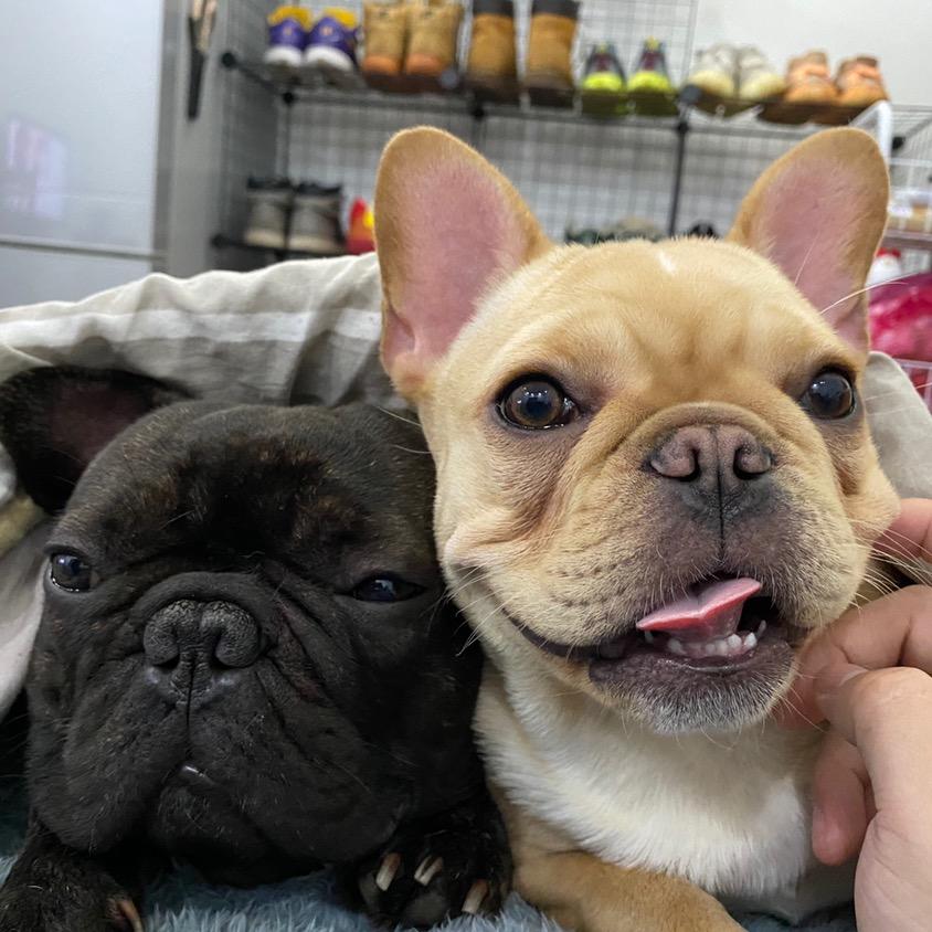 汉堡妈妈🍔👩🏻