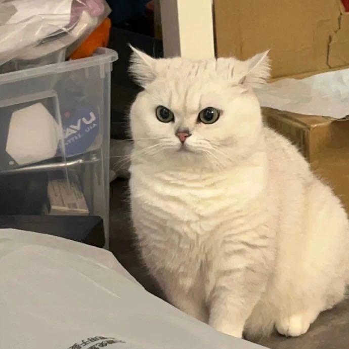 @正义