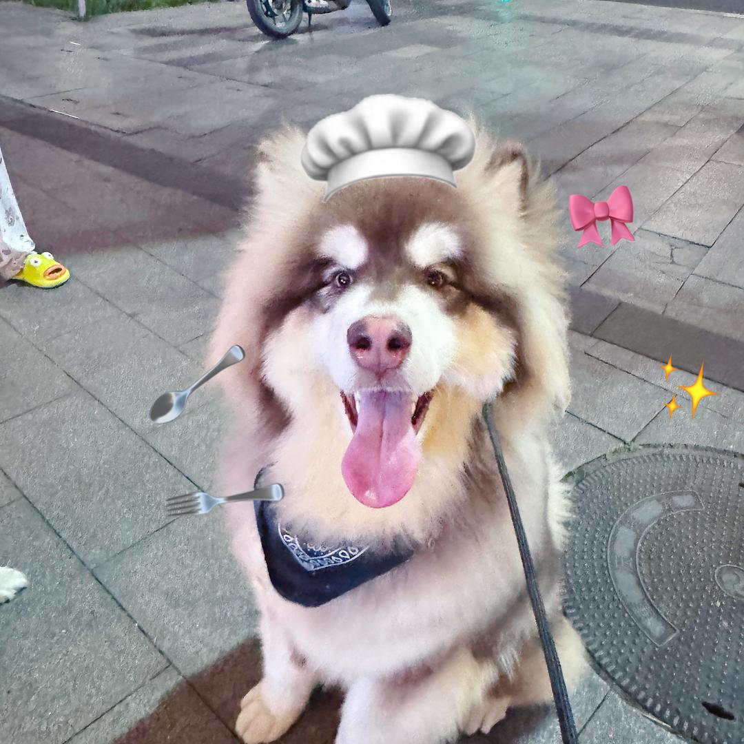 憨豆吃饱没