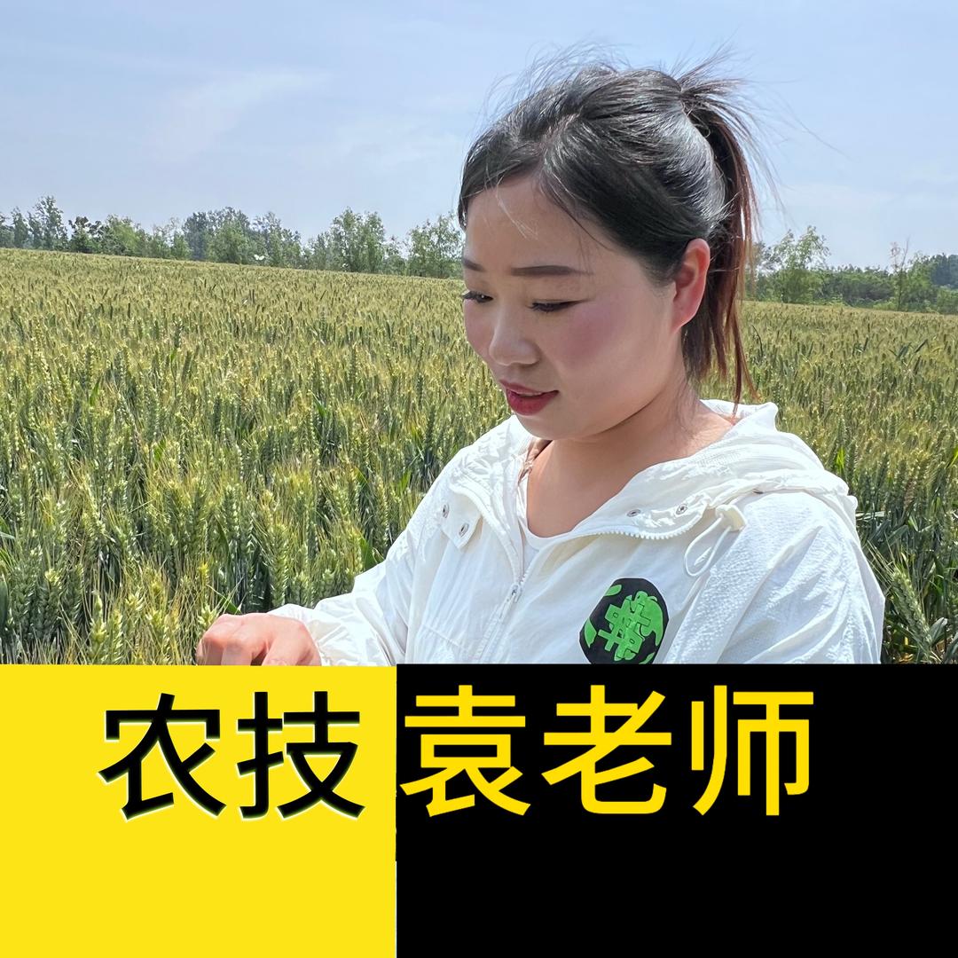 辉辉说农资
