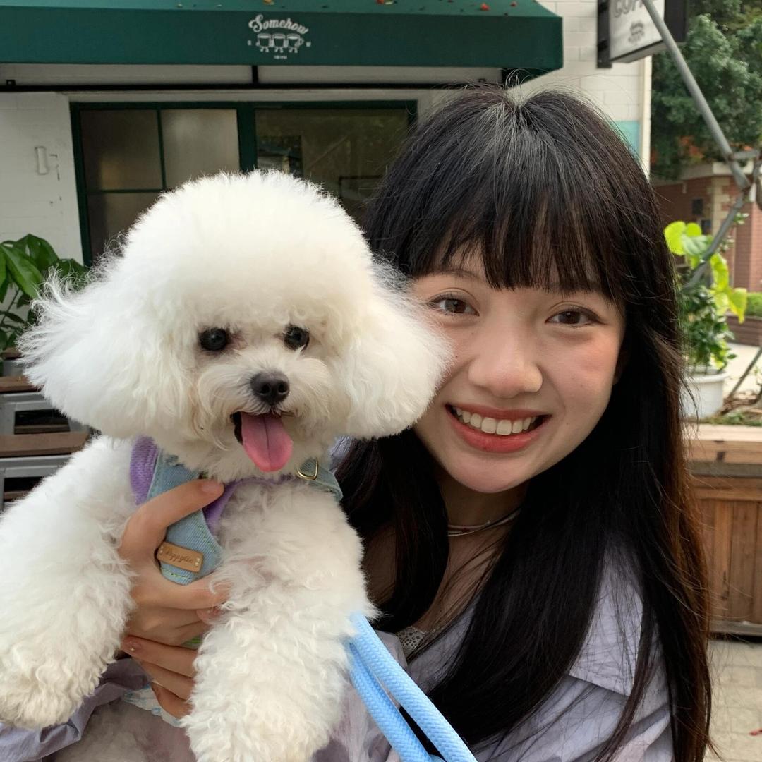 美洋洋