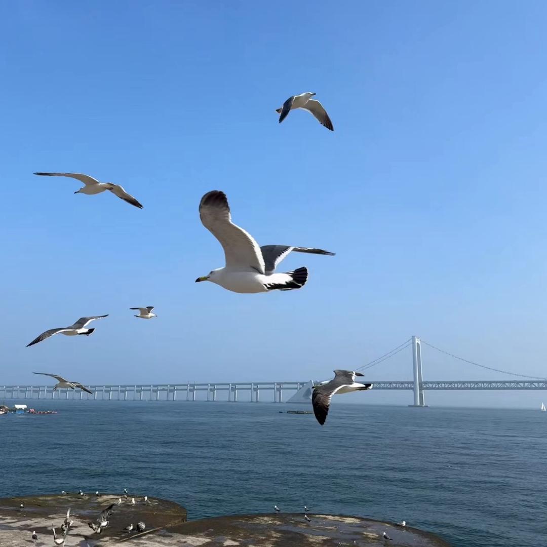 植康源生态农业-笑面姜花