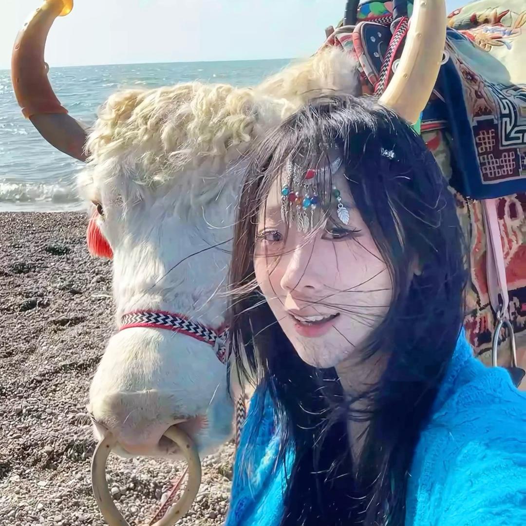 甜狗小益🐾