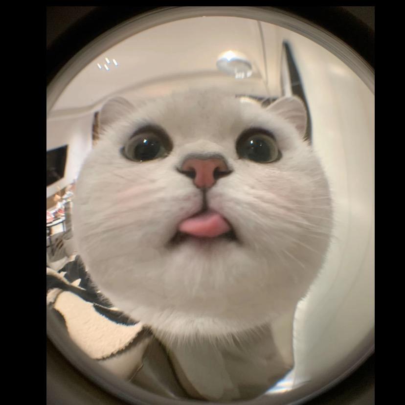大志杰