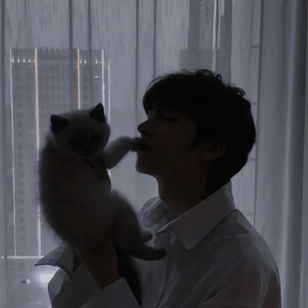 奥特铠甲勇士赛罗飞踢脚