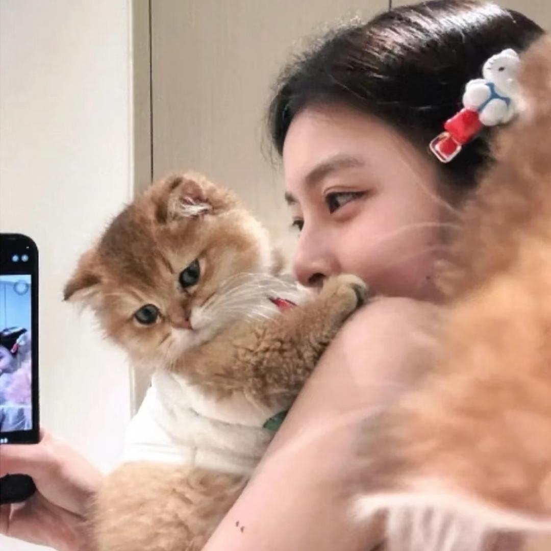 小猫装杯杯🐱
