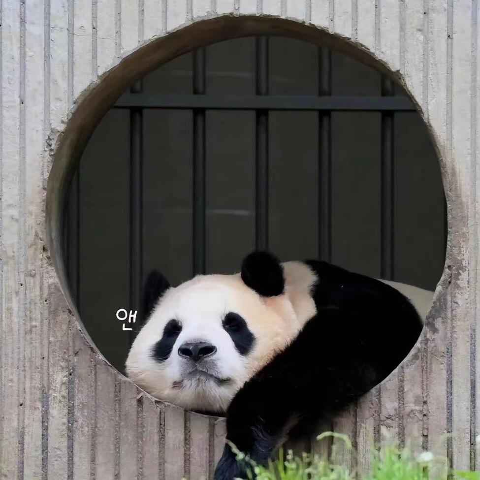好物分享ᝰ