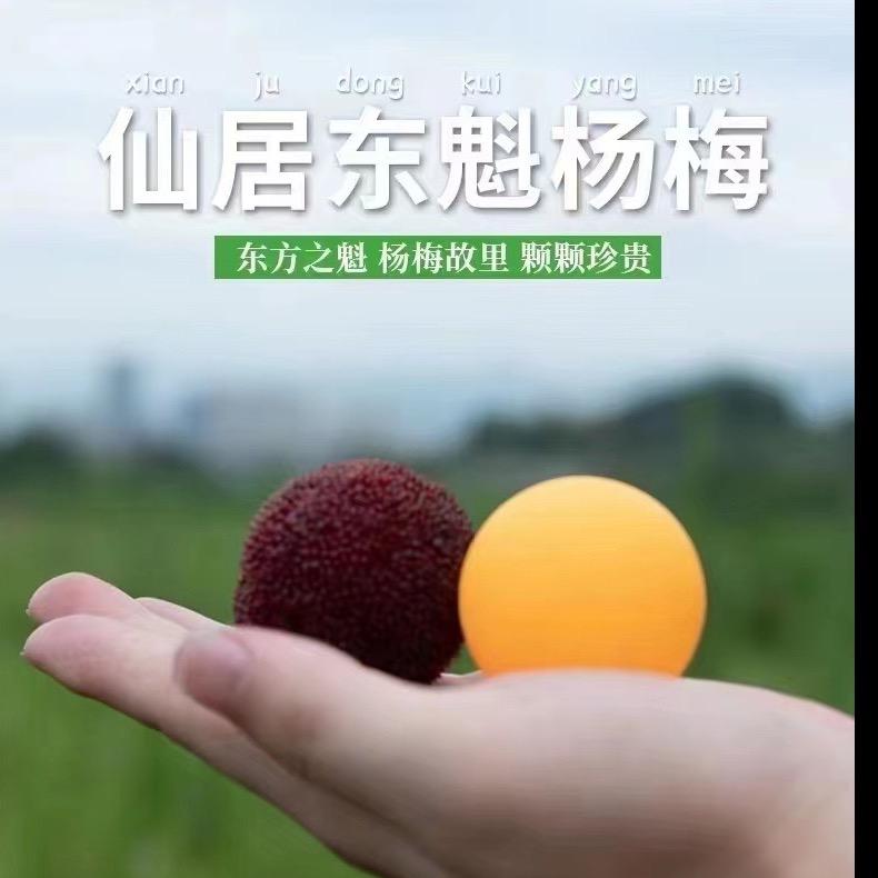 海的深处🐉