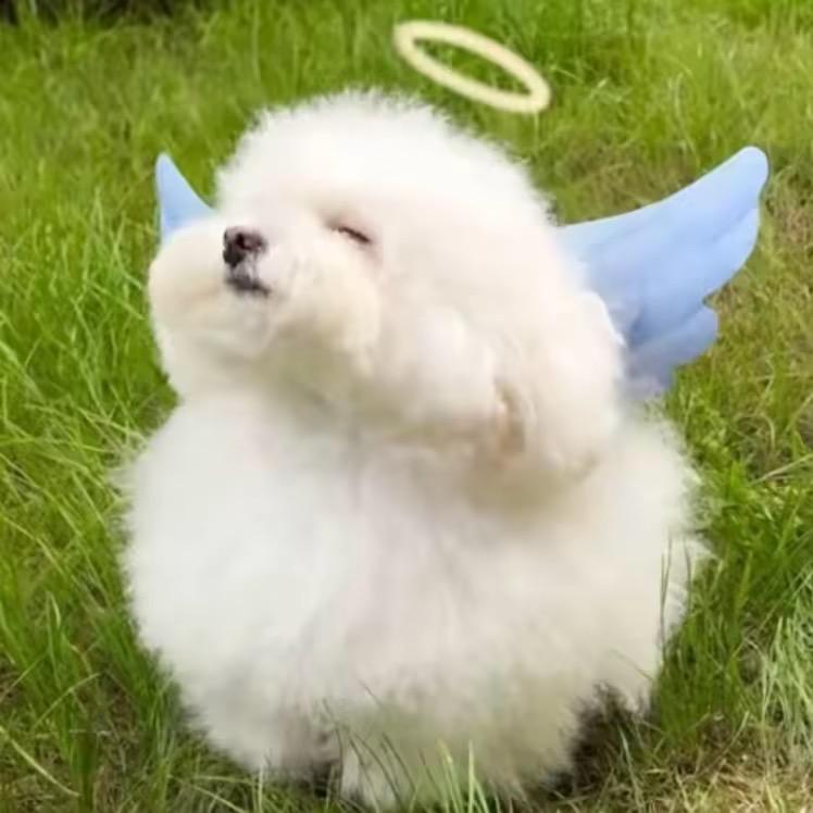 ^_^.