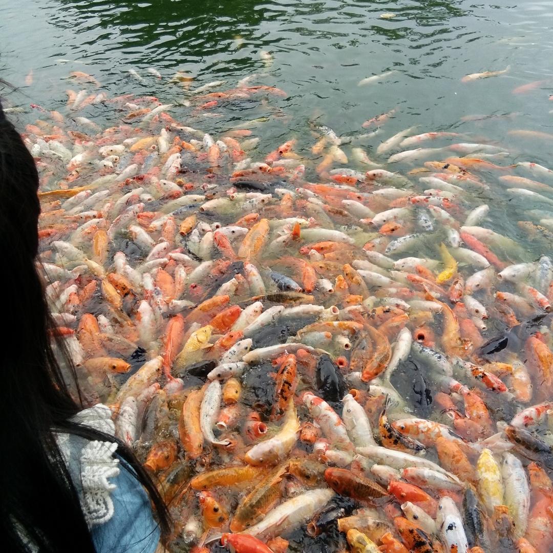 水到渠成
